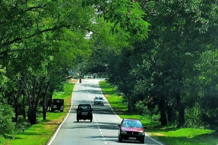 1 Day Trip from Bangalore by Car Best Places to Visit