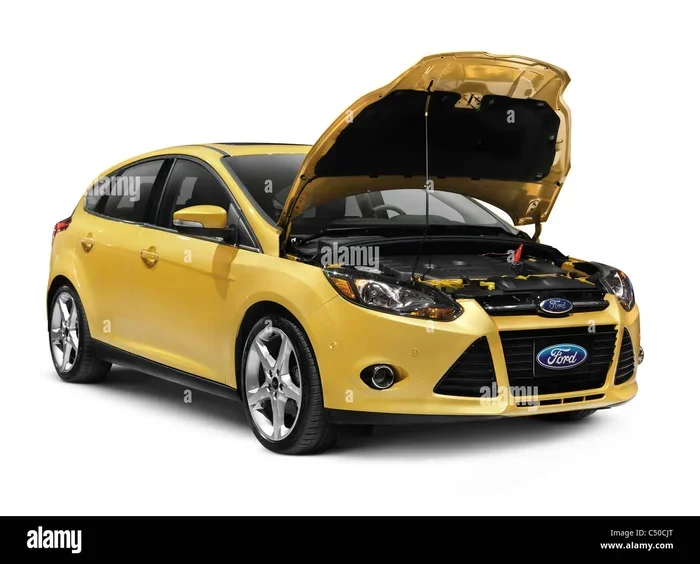 How to Open an Exterior Bonnet with These Simple Steps