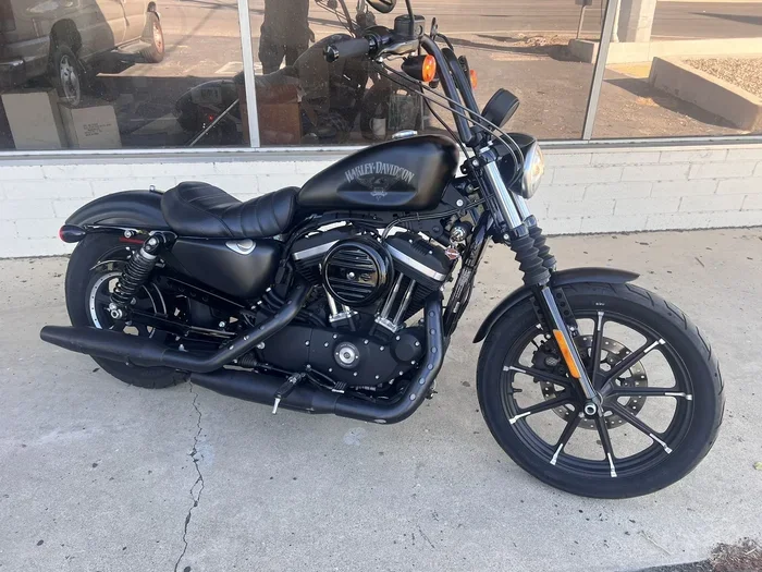 Harley-Davidson Sportster XL883N Overview - Is It Worth It